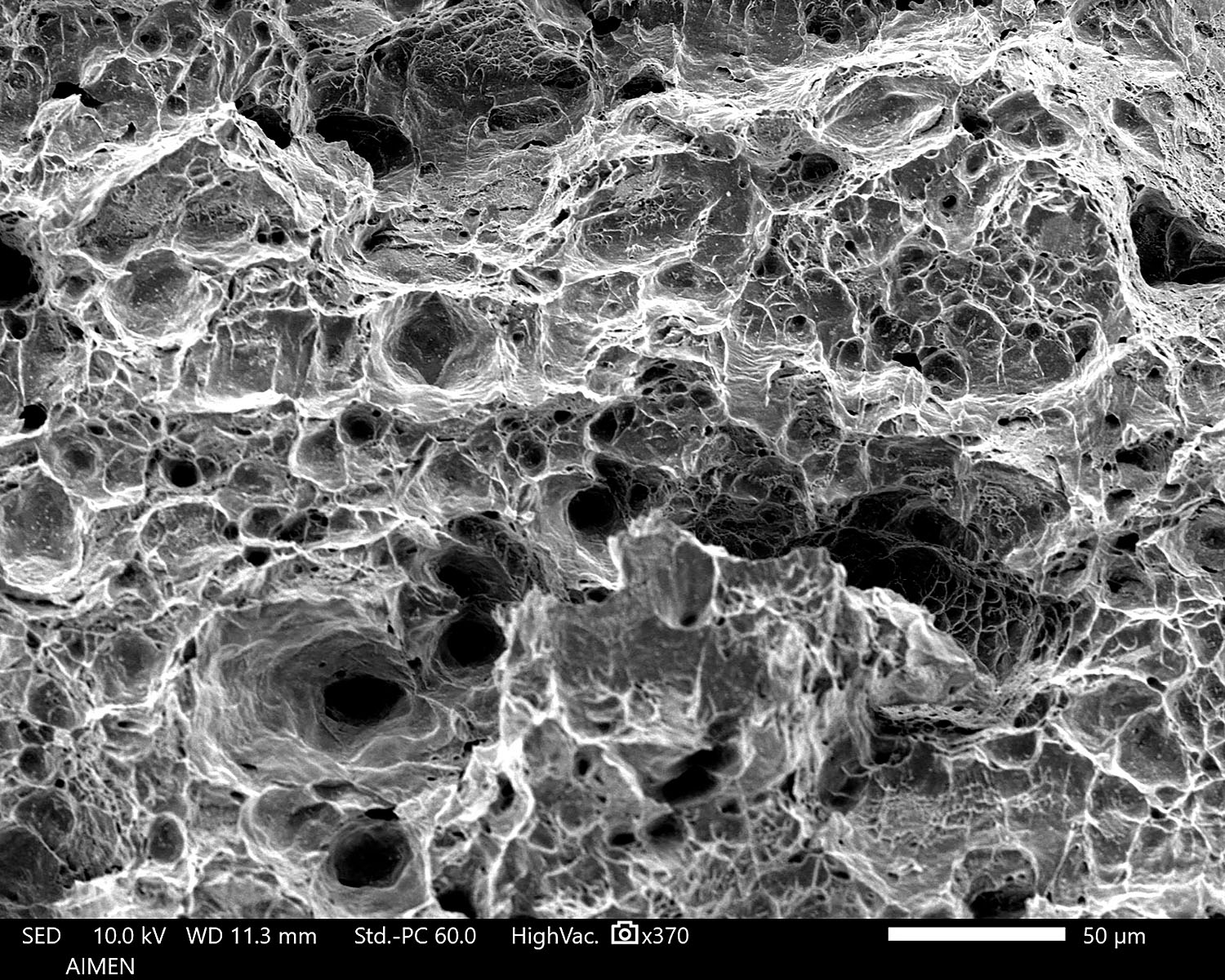 detalle microscopico